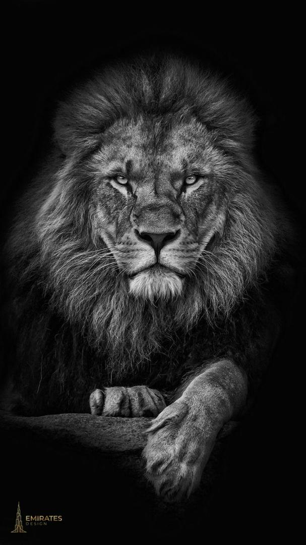EL REY